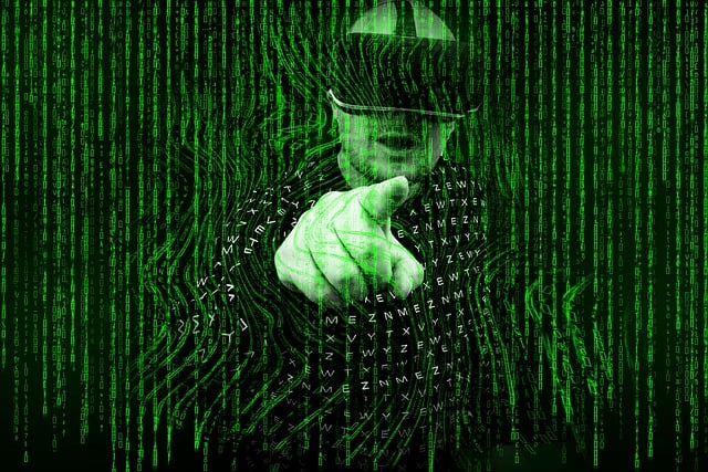 Save your self from cyber fraud